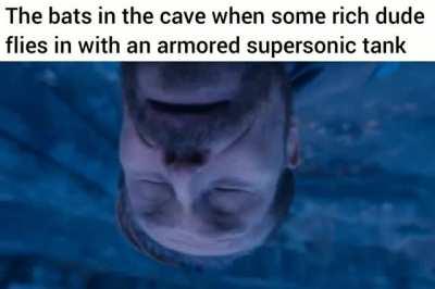 Poor bats lose their hearing every time Batman comes and goes