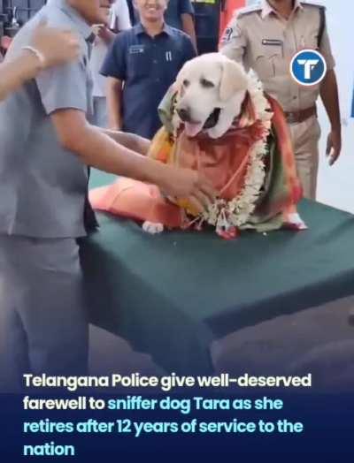 Sniffer dog retires after 12 years of service, Telangana Police honor her with ceremonial send-off