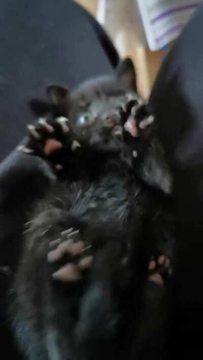 Won't be doing this in a few months