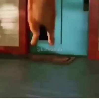 So basicily long storey short. I went to a redit and ask for a morgz mom secks porm and a redit guy sent a donwloed limk to morgz mom secks porm amd i opemed it in my ipad flies and it showed tomajery dance to dis... this is NOT morgz mom porm secks i thi