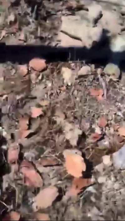 Zacatecas; CDS (MZ) goon in the middle of a shoot out, when his drum magazine malfunctions