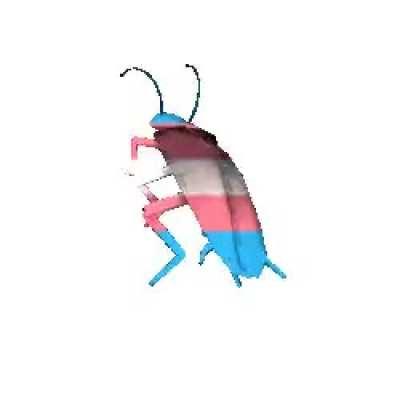 Is my trans rights roach acceptable here or does it have to be rgb