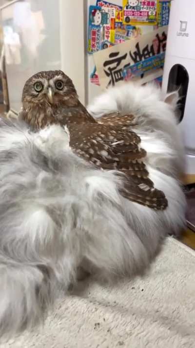 my nephew stole my brother's wallet and tried to split the money with me