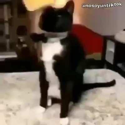 £!^£×/¥×_£+%€+$3(3£×;€