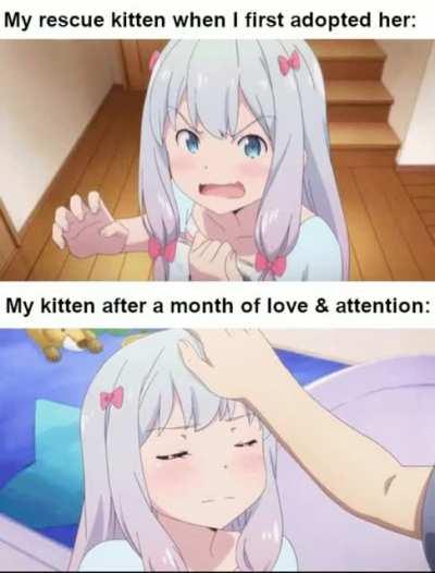 And I don't regret it one bit :3