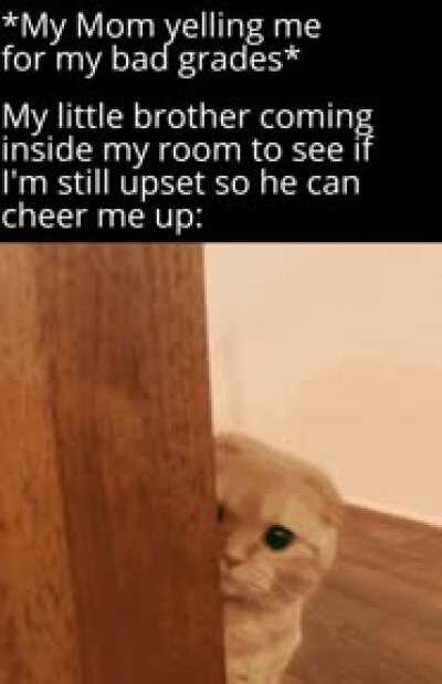 You are a Good Brother.