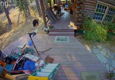 Did someone say brown?