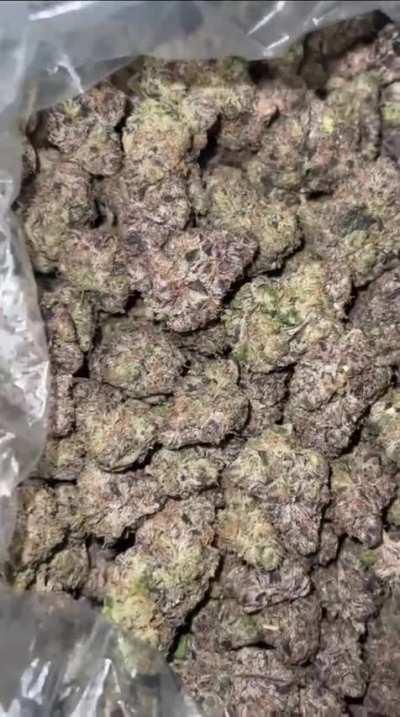 PINK MAMBA🐍🍬🔥