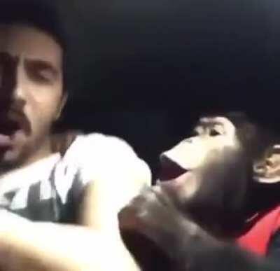 Mi pana, el que spamea la m palabra en el chat