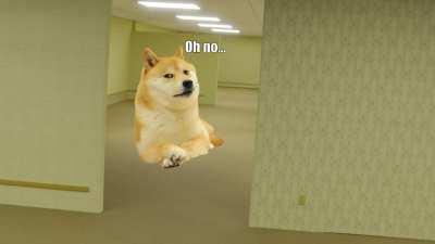 My first try to make a dogelore video edit