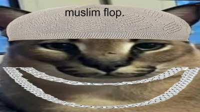 mashallah brother flop.