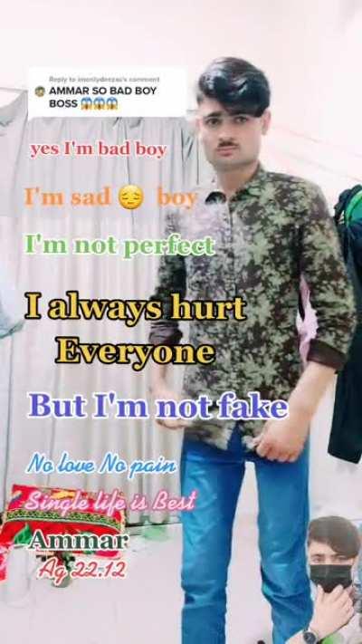 Who hurt Steve from Minecraft?