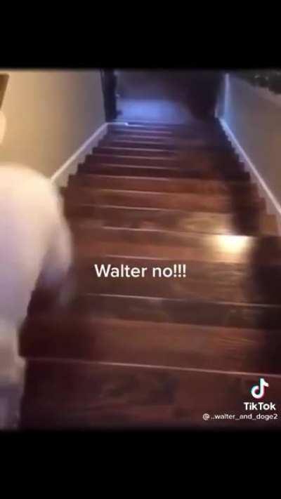 Oh shit! Walter got crazy