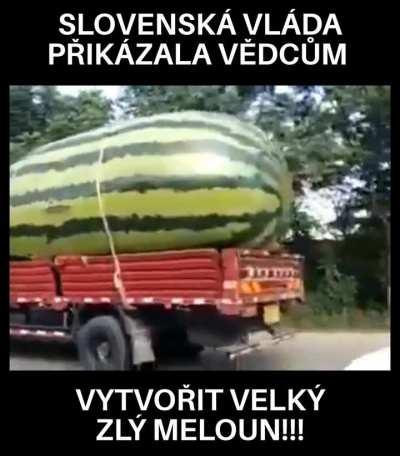 bylo mi to zděleno ve snu