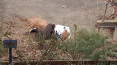 HMFT after this dude’s leg says Snap Crackle Pop