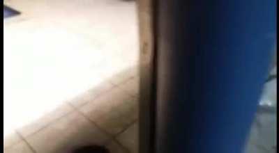 O rebatiador de sapus