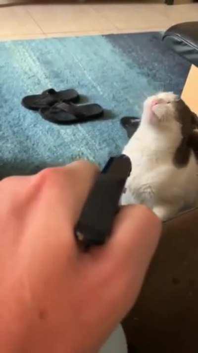 when your attempt at discipline fails