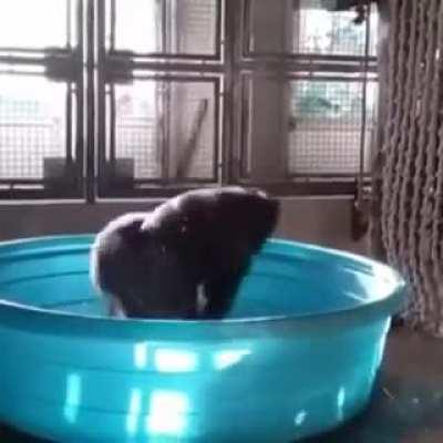 smurfdomuca - Video #3113