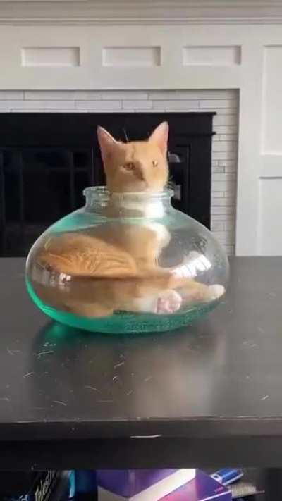 Who wants two liters of orange?