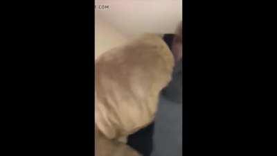 I require assistance