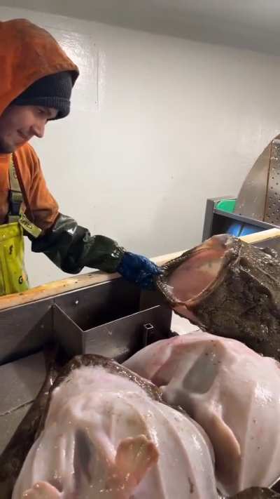 The intrusive thoughts won, and so did the monkfish moments later