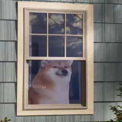 Ah yes, the law of inter visibility