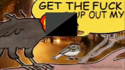 INSURRECTIONARY ANARCHISM