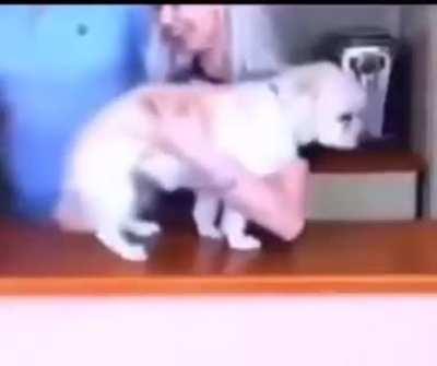 Let’s do that again