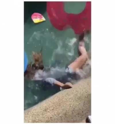 HMC while I drink this pool