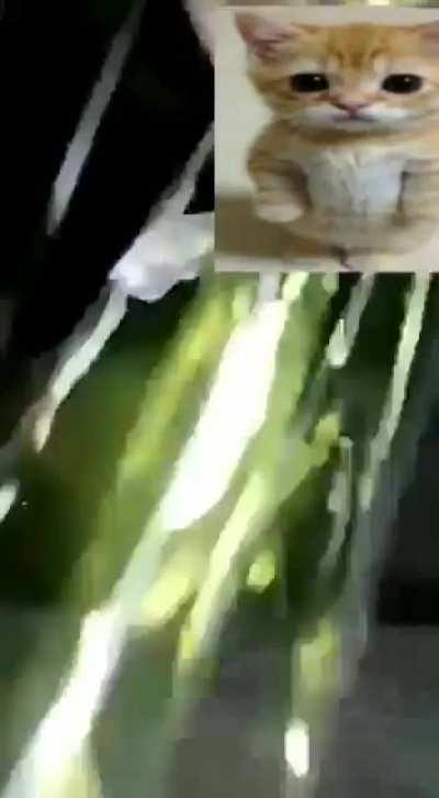 Luangameplay666 - Video #9254