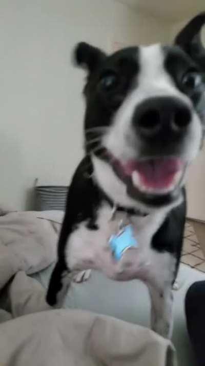 Whеn you ореn a bаg of snасks