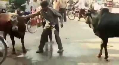 PSA: Leave Angry Cows Du Fuk Alone...