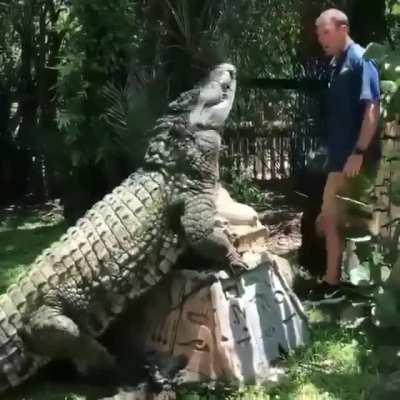 Yeah, right there buddy