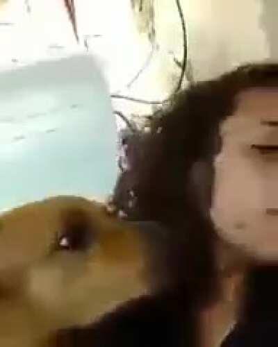 WCGW Singing with a dog