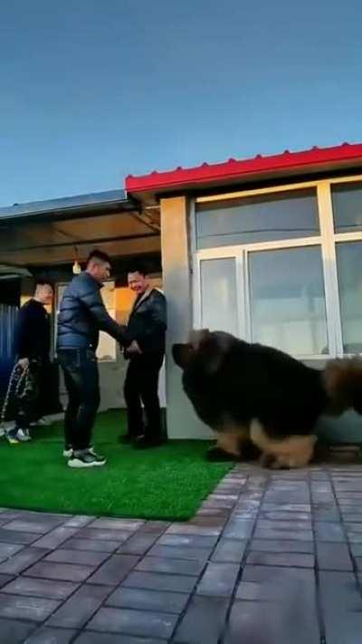 Very Large F L O O F