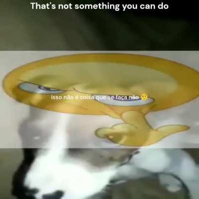 Zesty Portuguese Wunk