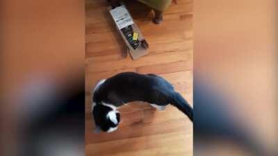 What frustration sounds like