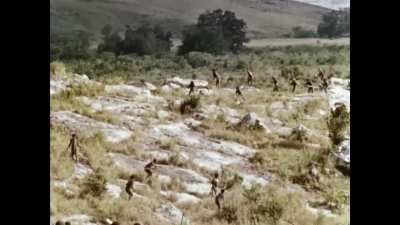 1963 Papua New Guinea tribal combat footage