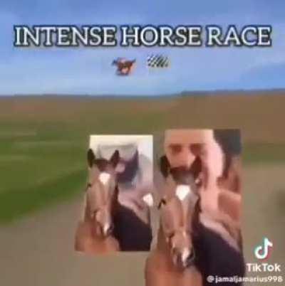 HOW FAST IS THAT HORSE BITCH!!1