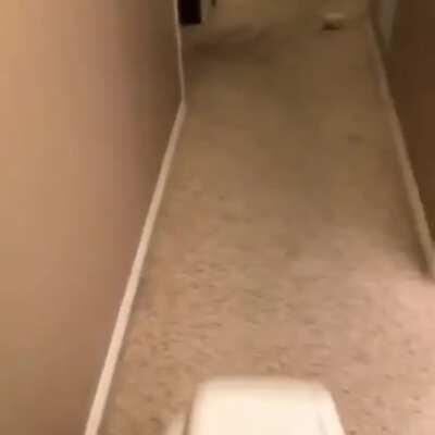 I am under the cover of night