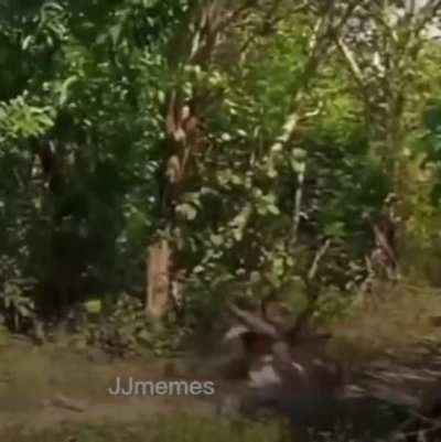 Introducing your friend to ITR like