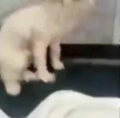 me when apandah porn