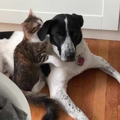 here.. lemme just get that for you