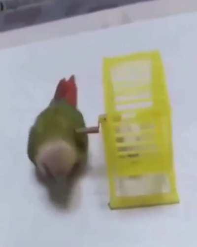 想躺平？你給我認命。