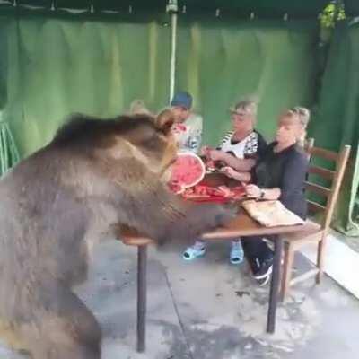 Typical Russian dinner