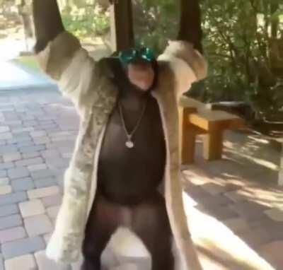 Yo he’s looking pretty fly tho