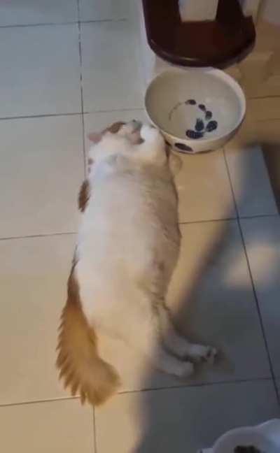 Belly Fat Ice Trick: Ur Doin' It Wrong...