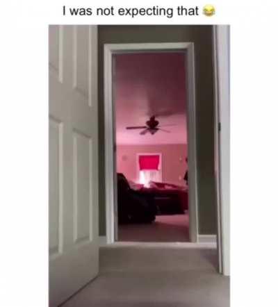 shoutout to all the short ones out there🤙💯