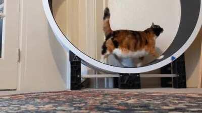 Oh lawd she working out!!!