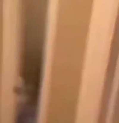 Felt this was worth being here. Will delete if it's already here